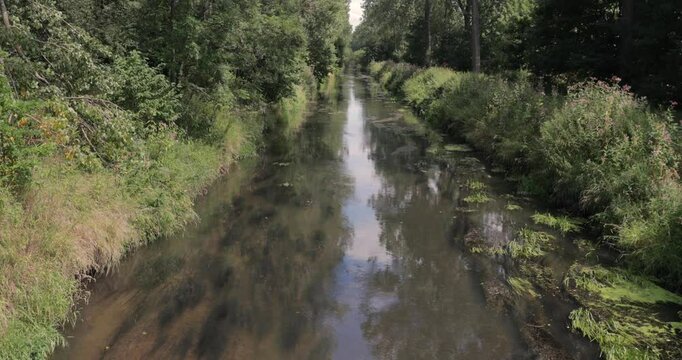 Canal water betwwen trees