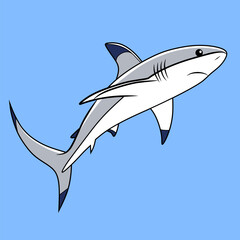 Detailed Bala Shark Fish vector illustration. Perfect for culinary, marine, and environmental designs. High-quality vector for easy customization. Ideal for menus, packaging and education