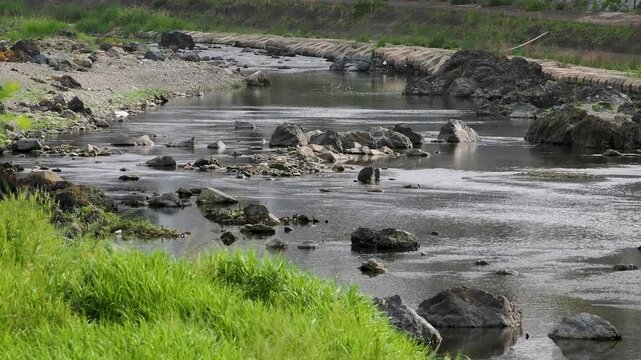岩が点在する猪名川の風景