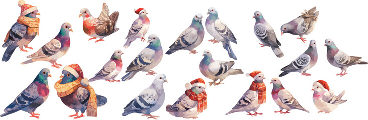 holiday pigeon watercolor clipart 
