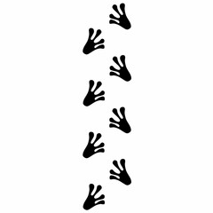 Fototapeta premium Footprints of a frog walking on a white screen background. Frog footprints in black