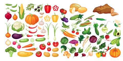 collection of illustrations of various vegetables