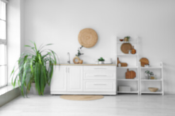 Blurred view of stylish kitchen with white counters, houseplant and shelving unit