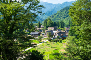 五箇山・相倉合掌造り集落	夏