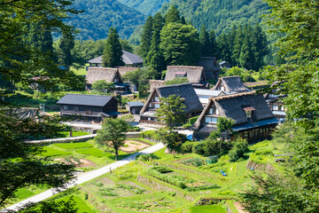 五箇山・相倉合掌造り集落 夏