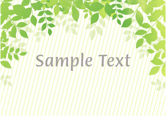 爽やかな新緑のフレームC