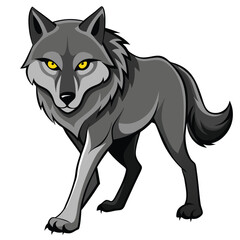 A gray wolf with piercing yellow eyes walks forward against a white background.