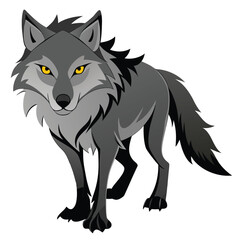A gray wolf with piercing yellow eyes walks forward against a white background.