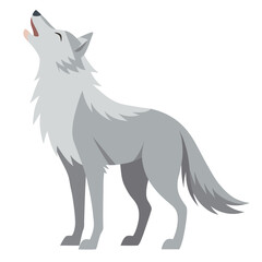 Fototapeta premium A light-colored wolf stands in profile with its head raised, howling a white background. 