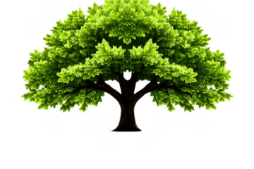 Realistic tree with lush green leaves, showcasing vibrant canopy and sturdy trunk, symbolizes nature beauty and vitality. This illustration captures essence of thriving ecosystem