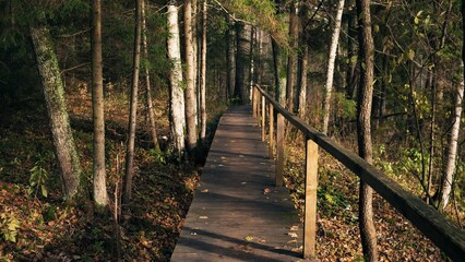 Obraz premium Serene Wooden Pathway Running Through a Lush Forest During the Early Morning Hours Inviting Visitors to Explore Nature