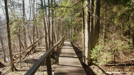 Fototapeta premium Wooden Pathway Through a Tranquil Forest With Sunlight Filtering Through Trees on a Serene Day