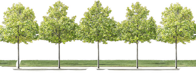 Photorealistic multiple green trees with vibrant leaves lining sidewalk, creating serene and inviting atmosphere. lush foliage adds touch of nature to urban landscape