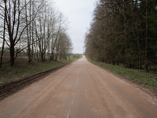 Empty Dirt Road Surrounded by Trees in a Rural Landscape on a Cloudy Day, Leading Towards a Distant...