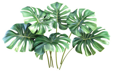 Tropical leaves cut out transparency background, showcasing vibrant green colors and intricate patterns. These lush leaves evoke sense of nature and tranquility, perfect for various design