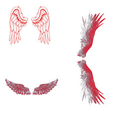 Obraz premium Red Angel Wings Collection
