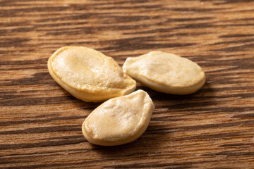 ［野菜の種］ゴーヤ