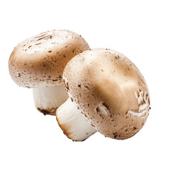 Fresh champignon mushrooms isolated on a clean Transparent background showcasing their natural texture and color, Mushroom champignon isolated on PNG background