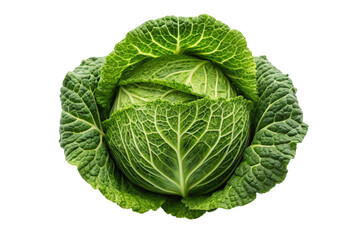 cabbage isolated on white background