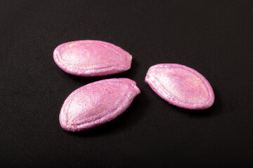 ［野菜の種］ズッキーニ　品種：青馬