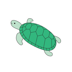 亀（カメ）のイラスト