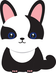 blak and white funny cat