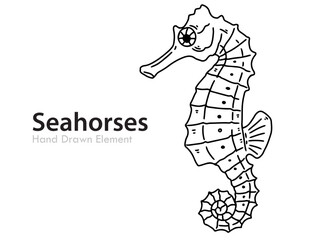 funny cartoon Seahorses