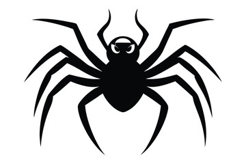 spider on a white background