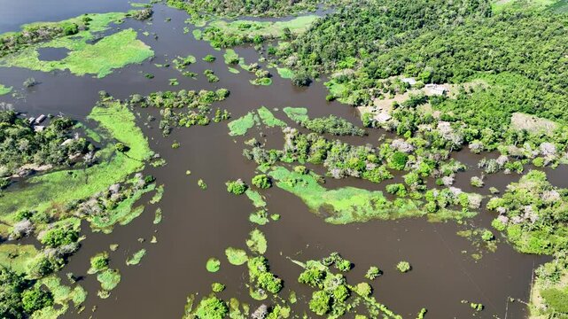 Amazonian River In Manaus Amazonas Brazil. Capturing The Effects Of Flooding In The Amazon Rainforest. Ecuador Nature Rain Forest Hydrography Bay. Rain Forest Savage Forest. Manaus Amazonas.