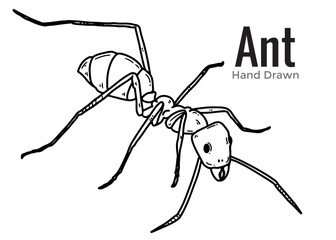 ant on white