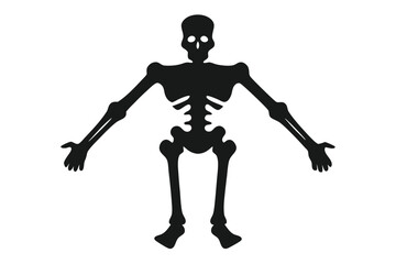 human skeleton with a skeleton