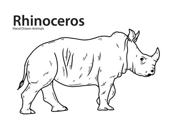 Rhinoceros on white background