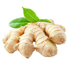 Fototapeta premium Fresh ginger root with green leaves isolated on a white background, Ginger fresh with leaves isolated on white background