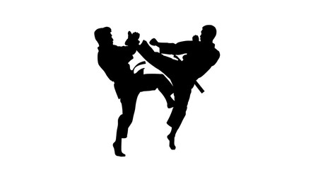Silhouette Fight Martial Arts Techniques Between Two Fighters