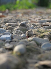 A mysterious cave stone with ancient textures, echoing history and natural geological wonders within.