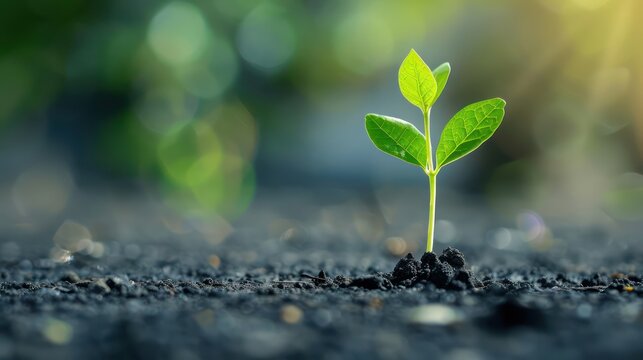 A presentation slide on cultivating a mindset to proactively seize opportunities.