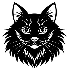 Obraz premium black and white cat