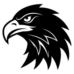 Fototapeta premium eagle head vector