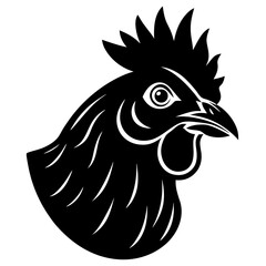 rooster isolated on white