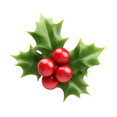 Holly Berry Sprig 3D Render on PNG Background for Festive Decoration