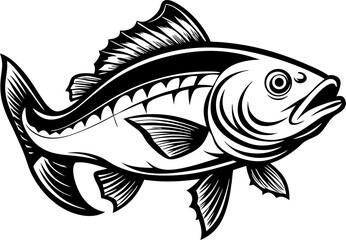 Cod  line art vector art black and white , white background