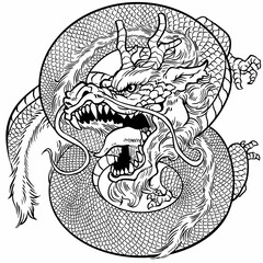 Fototapeta premium Coiled Dragon Line Art