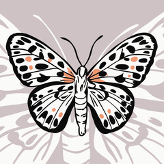 Elegant Black and White Butterfly Illustration
