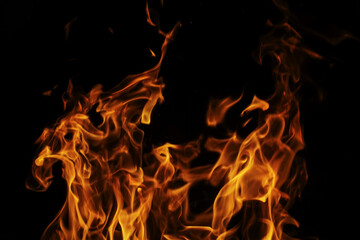 Vibrant Flames Dancing Against a Black Backdrop