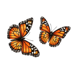 Fototapeta premium Viceroy butterflies displaying vibrant colors against a Transparent background, Viceroy butterflies isolated on PNG background