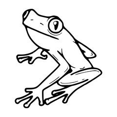 sweet little tree frog drawing