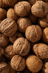 A close-up view of many walnuts in the shell