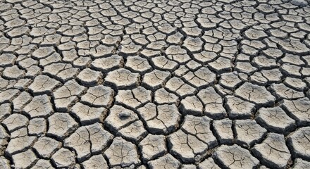 Photo of Cracked Dry Earth in Drought Stricken Area
