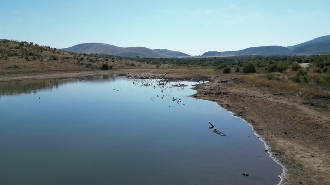 Wildlife Skyline In Rustenburg North West South Africa. Game Drive Safari Scenery In The African Savannah. Exotic Outdoor Country Stunning. Exotic Bosk Nature. Rustenburg North West.