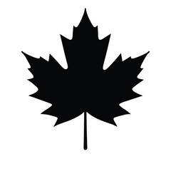 maple leaf silhouette